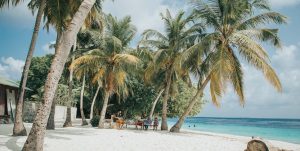 Lee más sobre el artículo Cayo Santa María