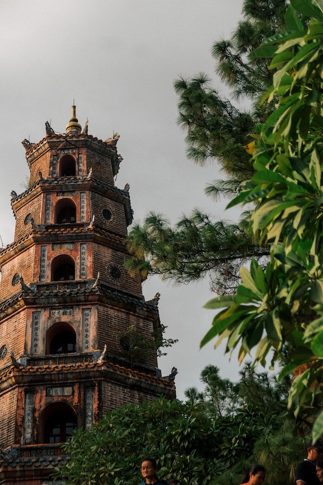 pexels-dương-nhân-3155276