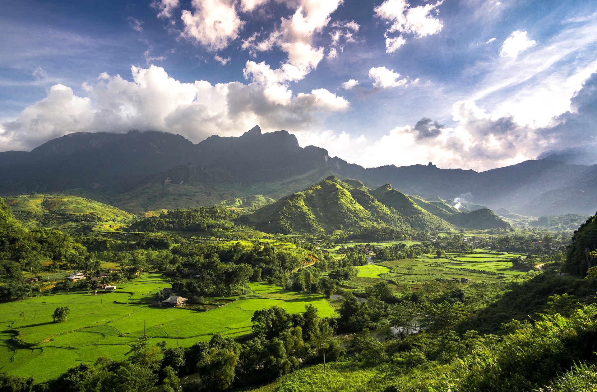 pexels-q-hưng-phạm-2965773