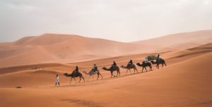 Lee más sobre el artículo Andalucía, Marruecos y Portugal con Madrid (E)