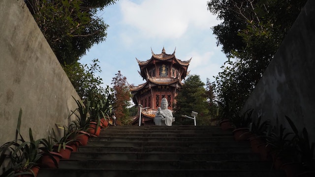 pexels-yang-deng-14984301